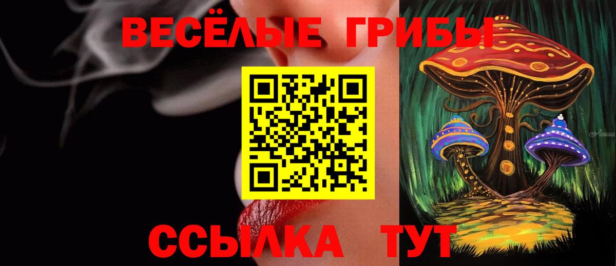 Галлюциногенные грибы Magic Shrooms Кувандык