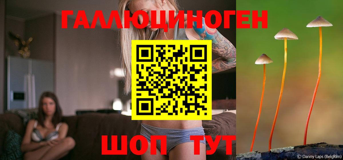 Кувандык  Псилоцибиновые грибы мухоморы  Вход с VPN 